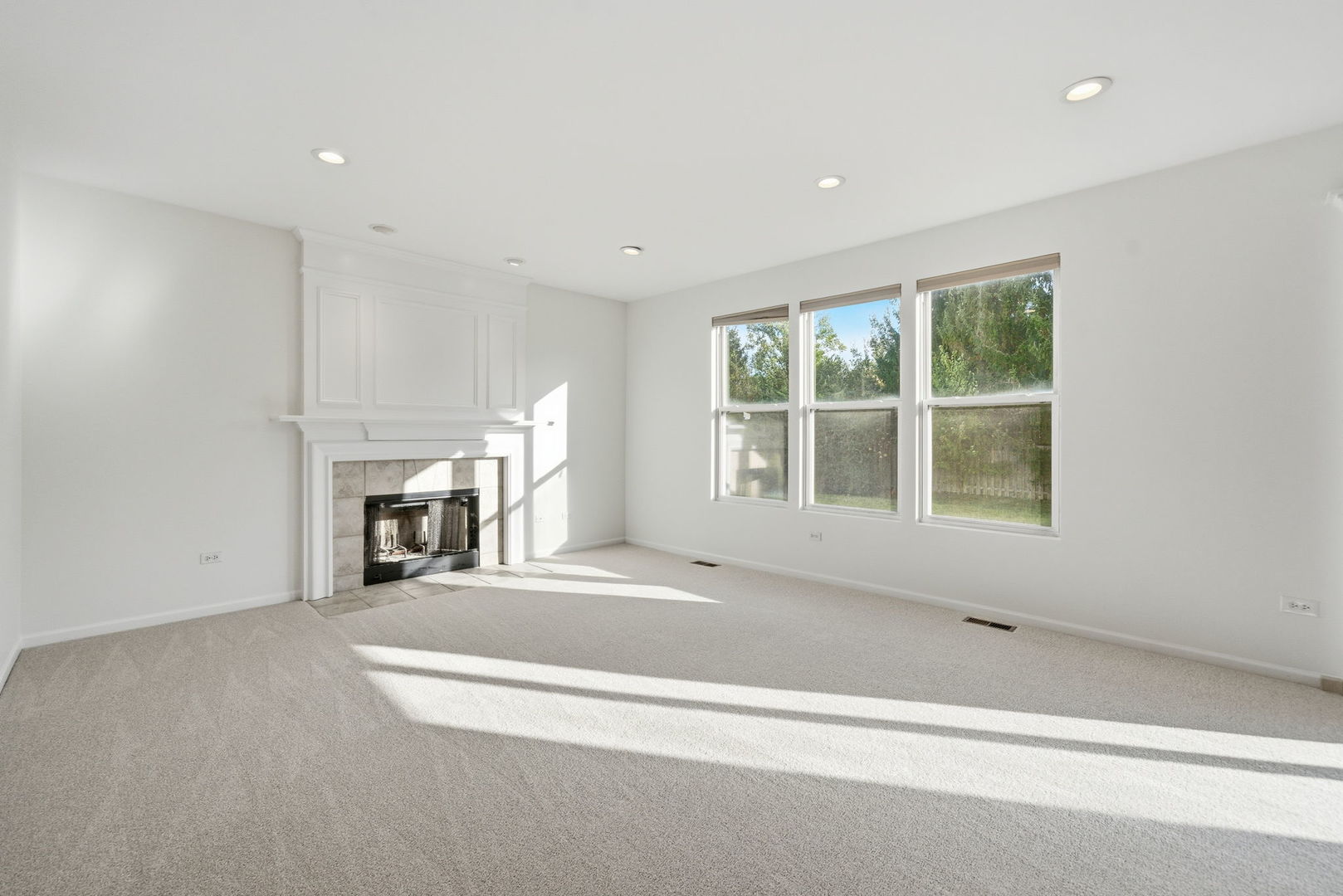 402 Marshall Ash Street Bolingbrook IL 60490