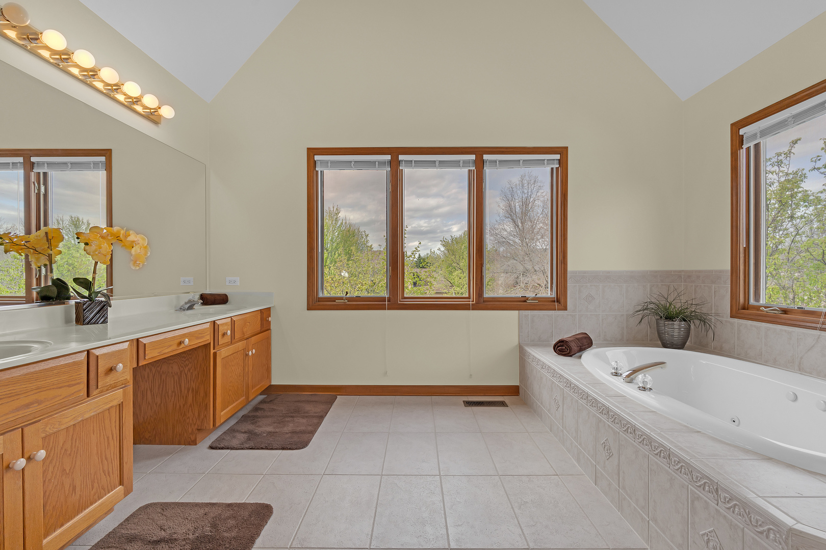 1340 Dunrobin Road Naperville IL 60540