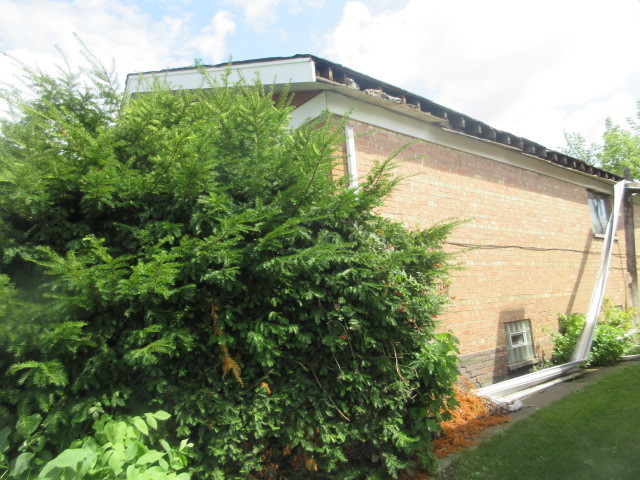 3709 West 66th Place Chicago IL 60629