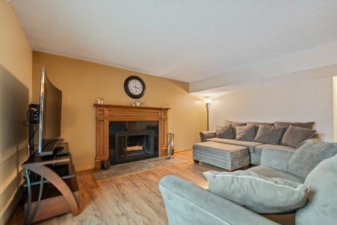 14305 South Pebble Creek Drive Homer Glen IL 60491