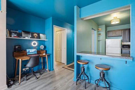 1560 North Sandburg Terrace N Chicago IL 60610