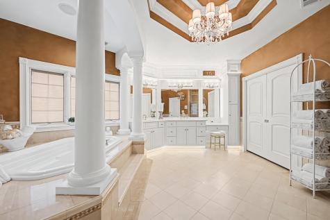 147 Los Lagos Drive Bloomingdale IL 60108