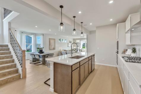 12444 Portrush Lane Lemont IL 60439