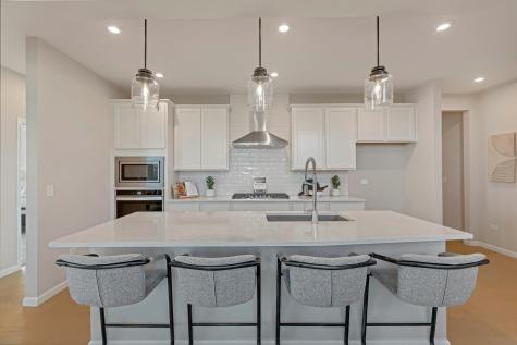 12444 Portrush Lane Lemont IL 60439