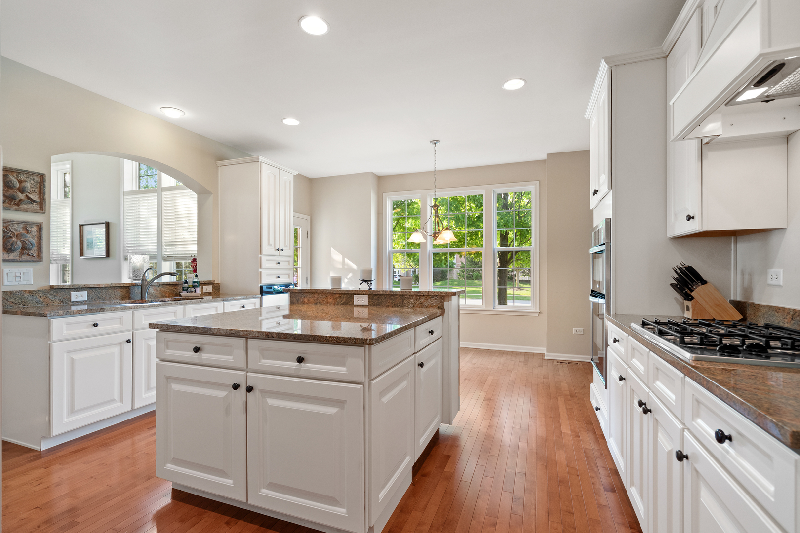 2904 Portage Street Naperville IL 60564