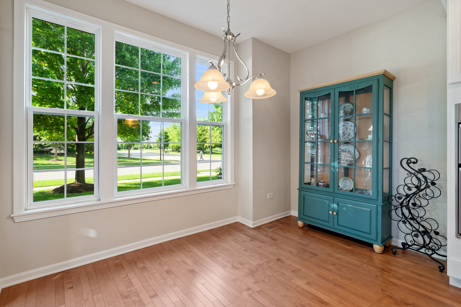 2904 Portage Street Naperville IL 60564