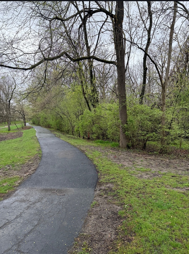 1203 Hobson Oaks Drive Naperville IL 60540