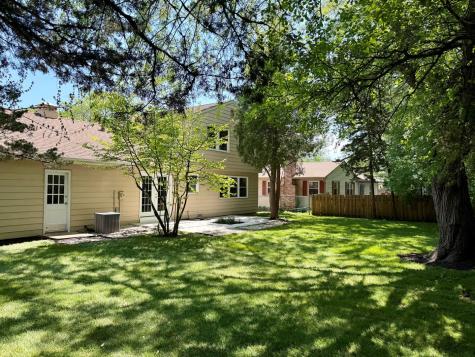 711 Woodhollow Lane Buffalo Grove IL 60089