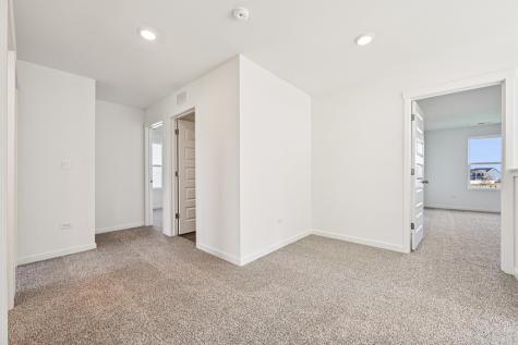 2915 Savana Drive Joliet IL 60435