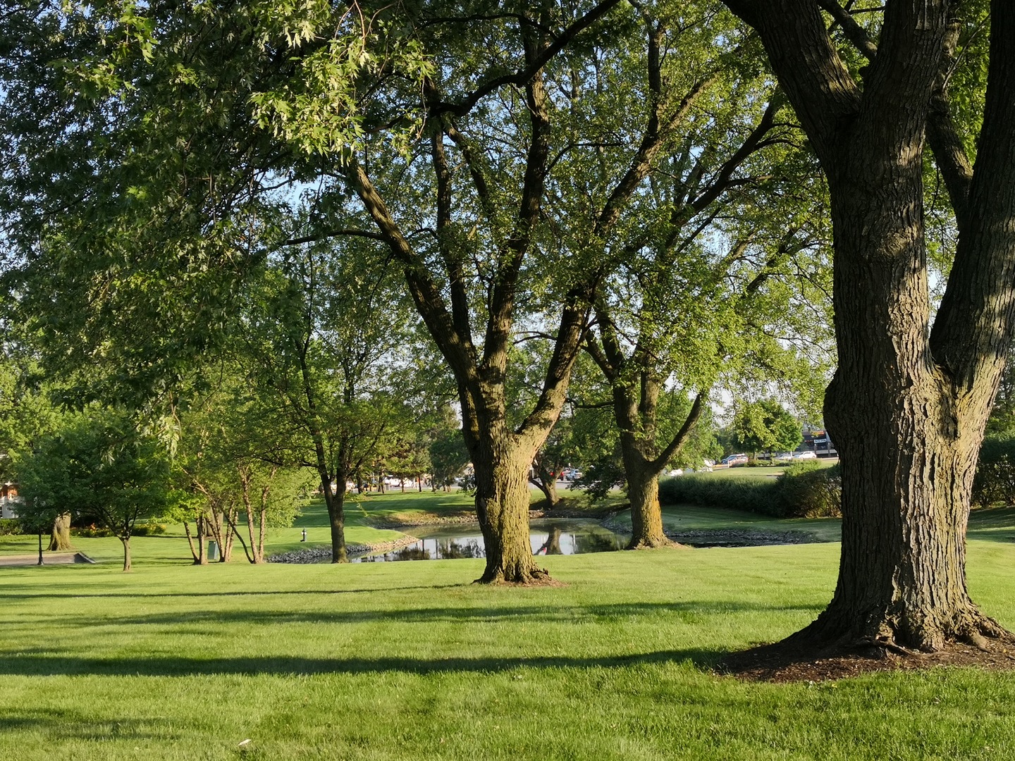 23 North Tower Road N Oak Brook IL 60523