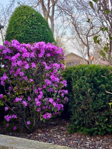 4759 Crest Court Waukegan IL 60087