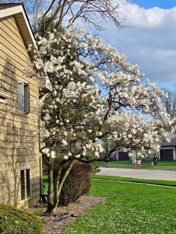 4759 Crest Court Waukegan IL 60087