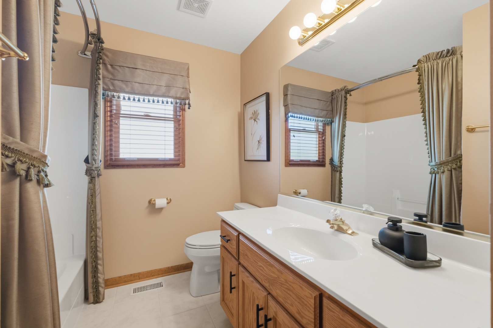 25006 Sandra Lane Plainfield IL 60544