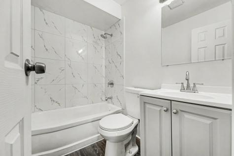 21539 Gailine Avenue Sauk Village IL 60411