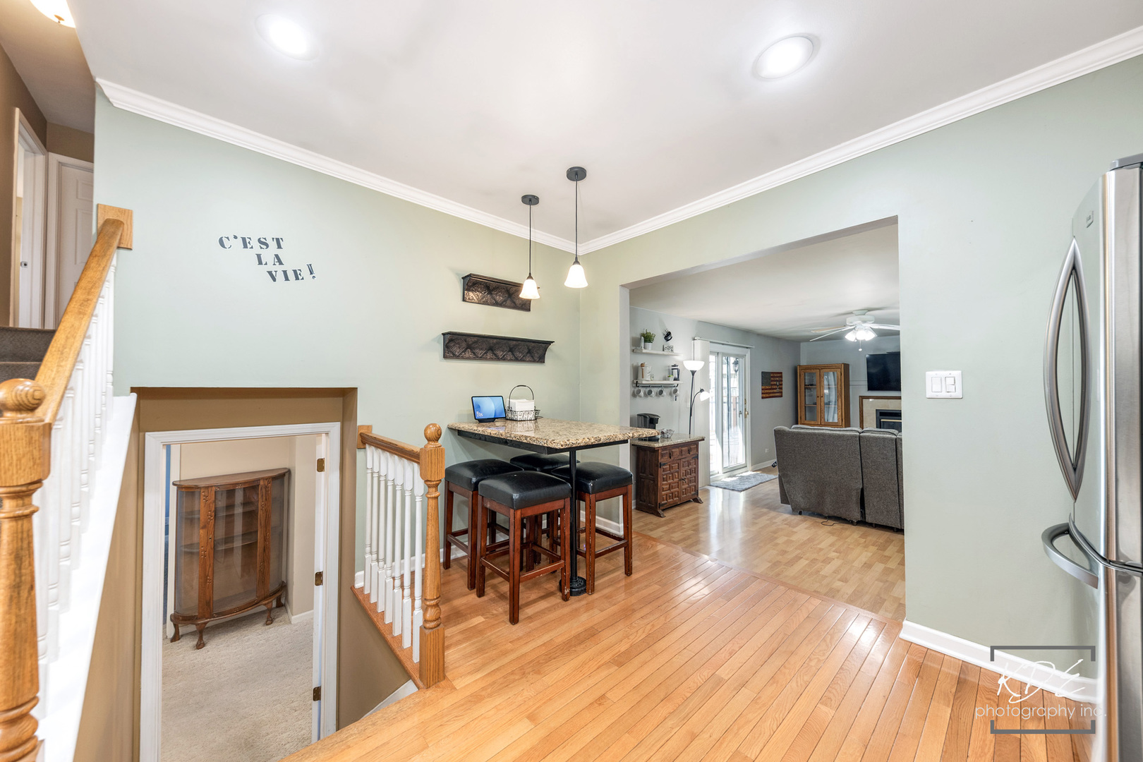 1317 Carol Lane Naperville IL 60565