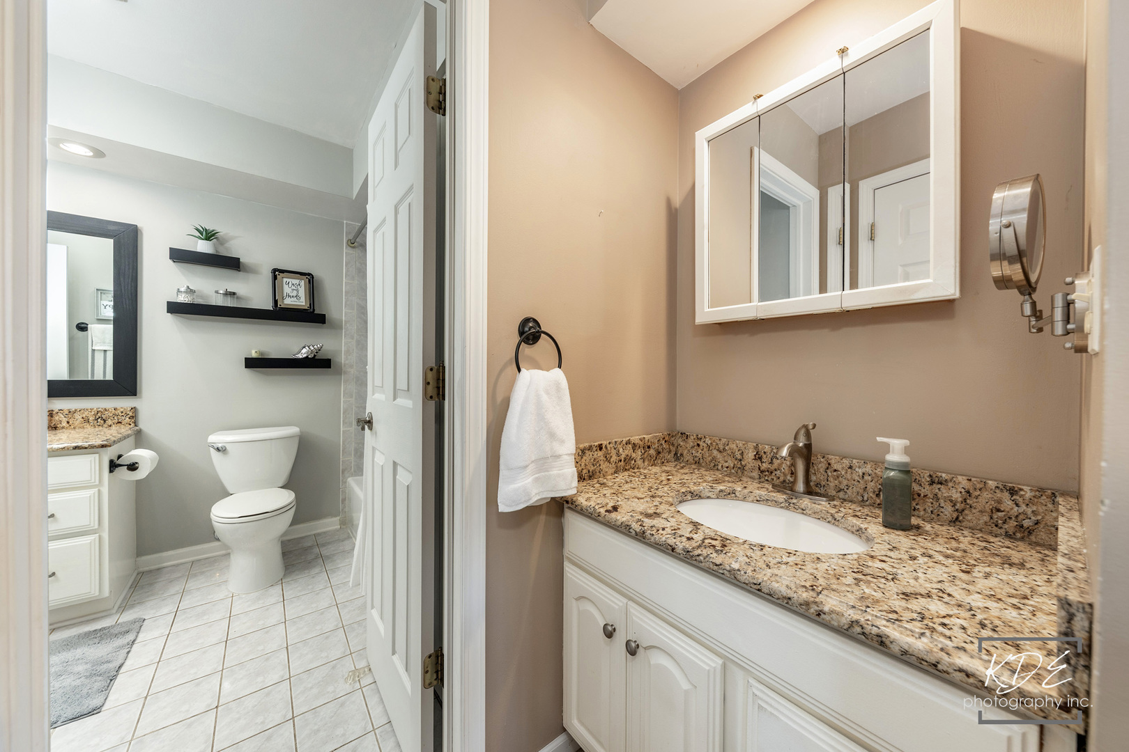 1317 Carol Lane Naperville IL 60565