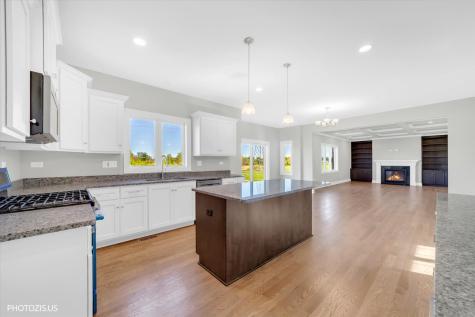19943 Silverside Drive Tinley Park IL 60487
