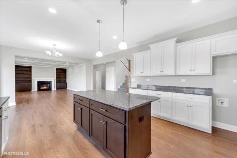 19943 Silverside Drive Tinley Park IL 60487