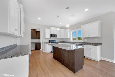 19943 Silverside Drive Tinley Park IL 60487