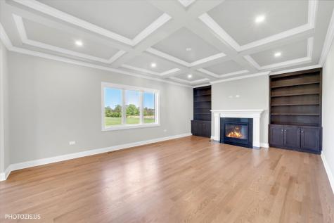 19943 Silverside Drive Tinley Park IL 60487