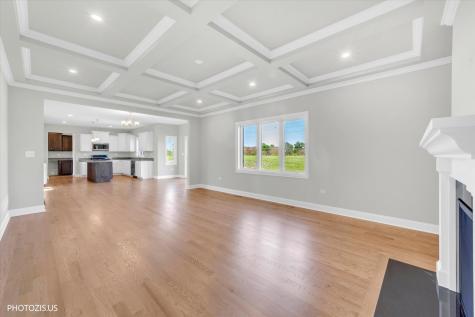19943 Silverside Drive Tinley Park IL 60487