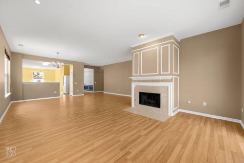 13462 Dearborn Trail Huntley IL 60142