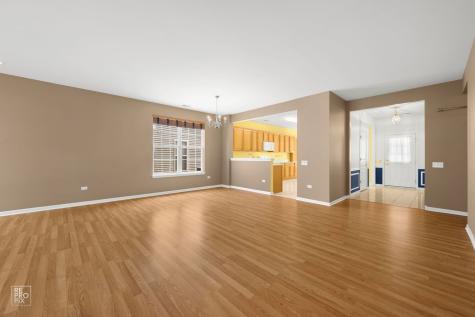 13462 Dearborn Trail Huntley IL 60142