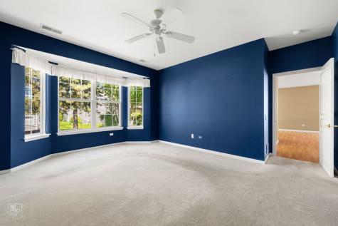 13462 Dearborn Trail Huntley IL 60142