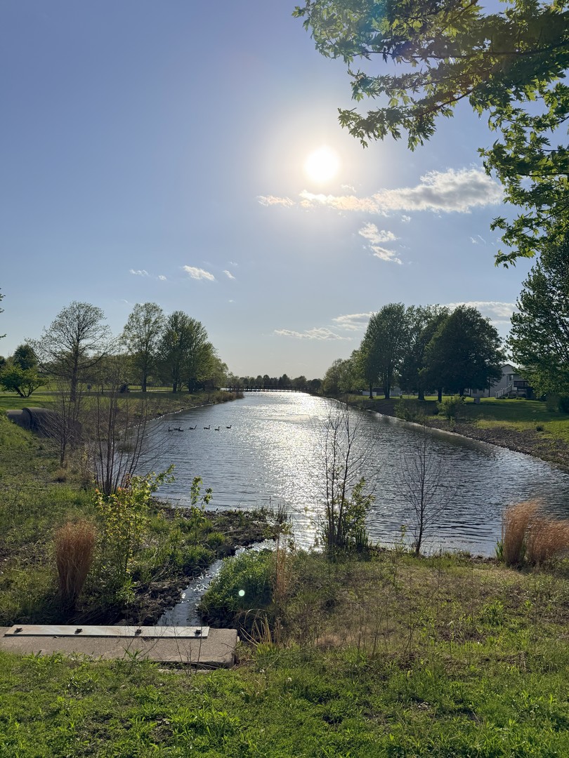 513 Pheasant Chase Drive Bolingbrook IL 60490