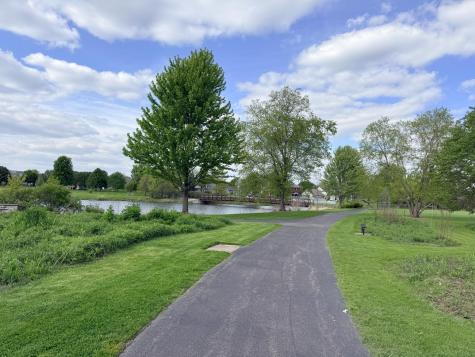 513 Pheasant Chase Drive Bolingbrook IL 60490