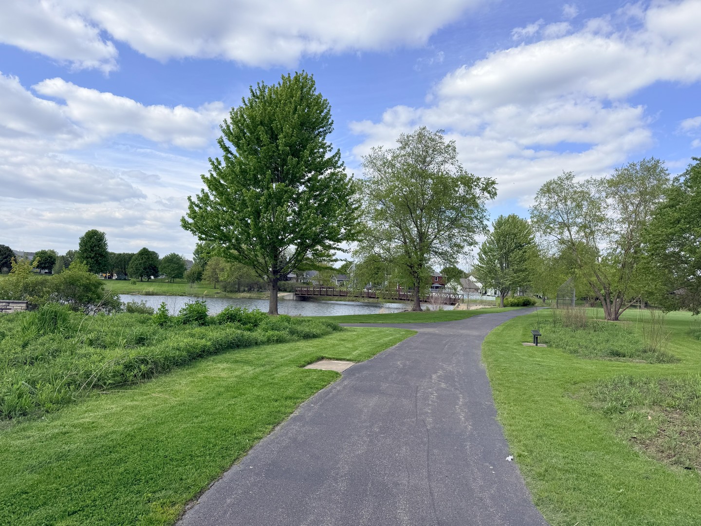 513 Pheasant Chase Drive Bolingbrook IL 60490