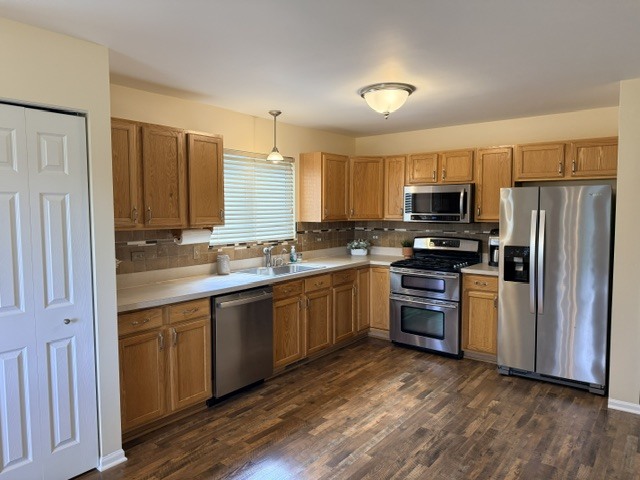 513 Pheasant Chase Drive Bolingbrook IL 60490