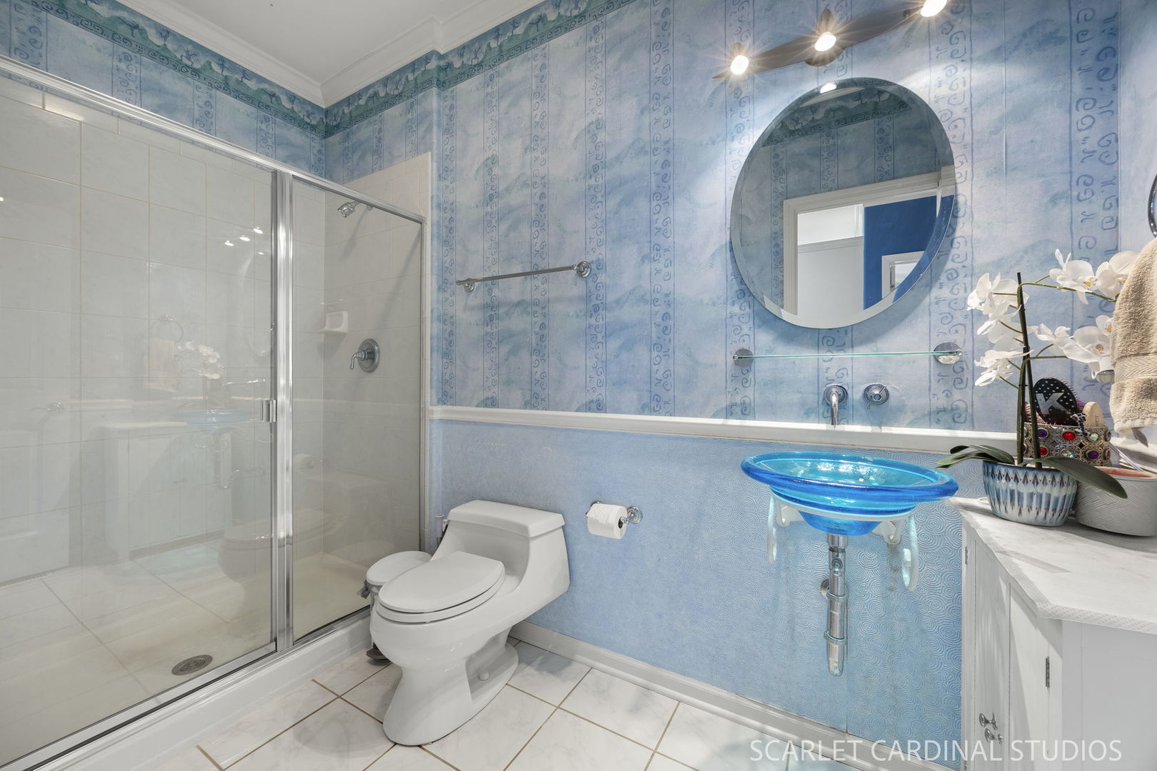 2239 Hillsboro Lane Naperville IL 60564