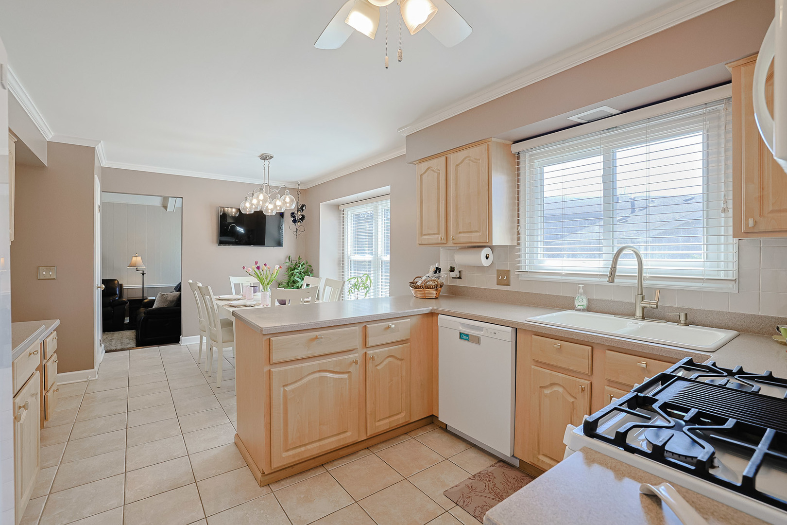 229 Tudor Lane Schaumburg IL 60193