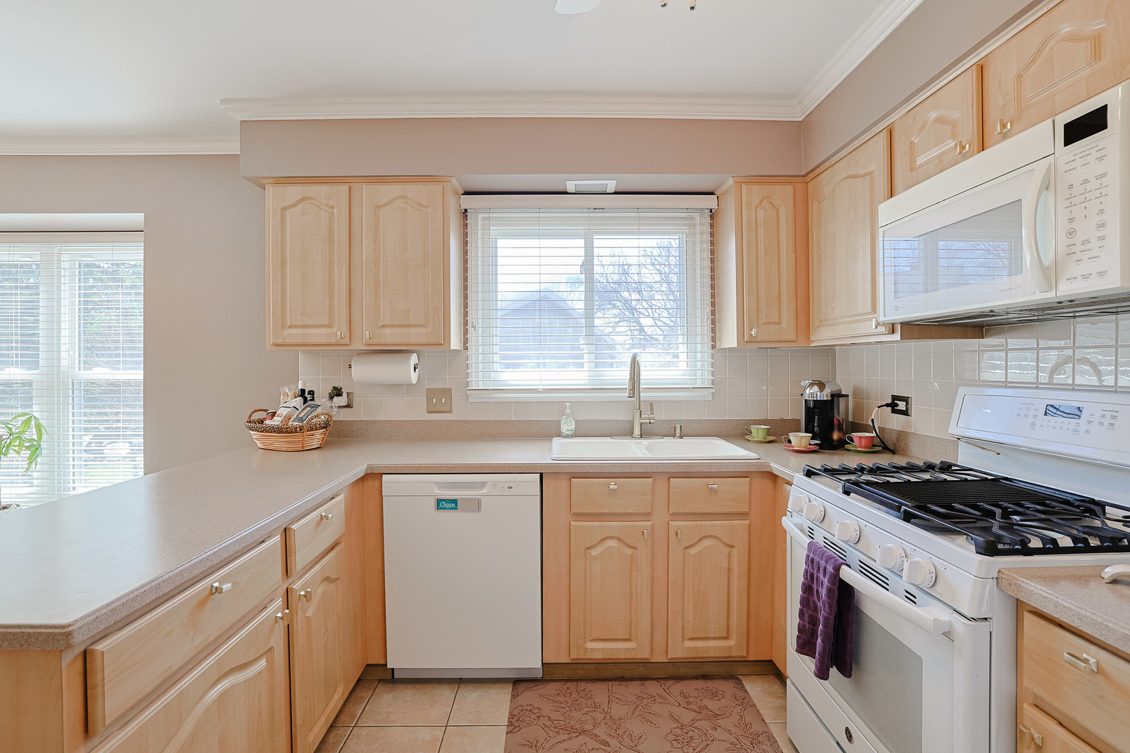 229 Tudor Lane Schaumburg IL 60193