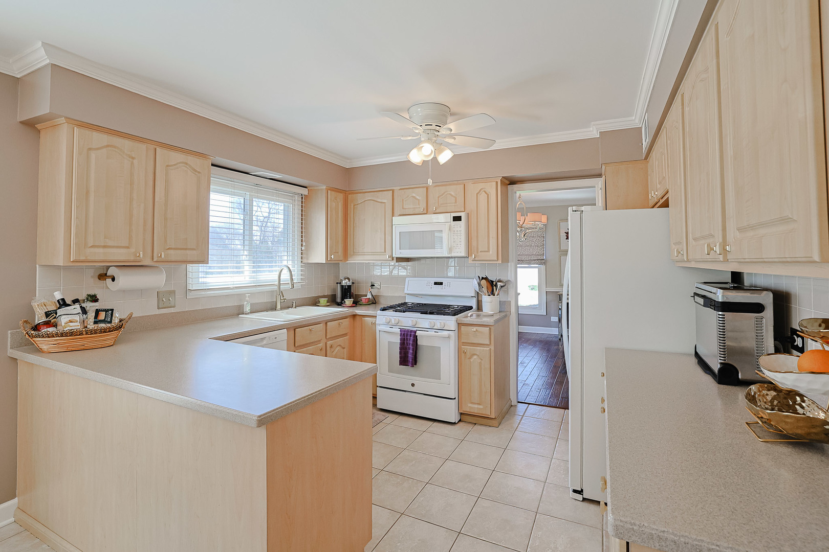 229 Tudor Lane Schaumburg IL 60193