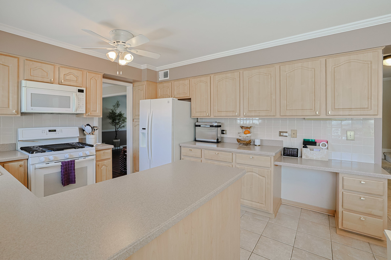 229 Tudor Lane Schaumburg IL 60193
