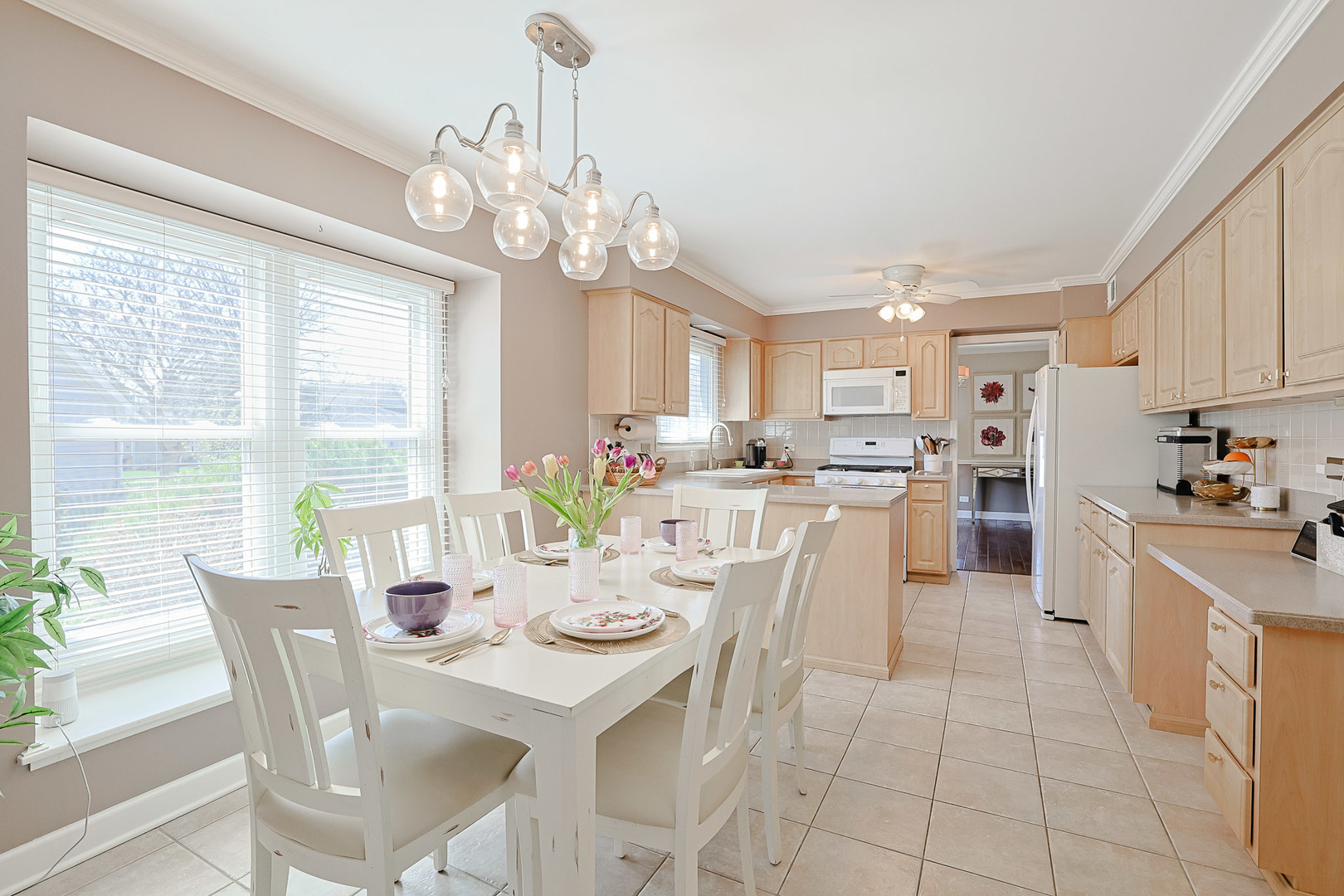 229 Tudor Lane Schaumburg IL 60193