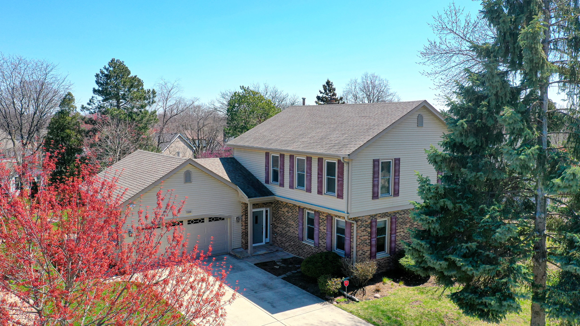 229 Tudor Lane Schaumburg IL 60193