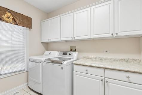 25246 North Abbey Glenn Drive Hawthorn Woods IL 60047