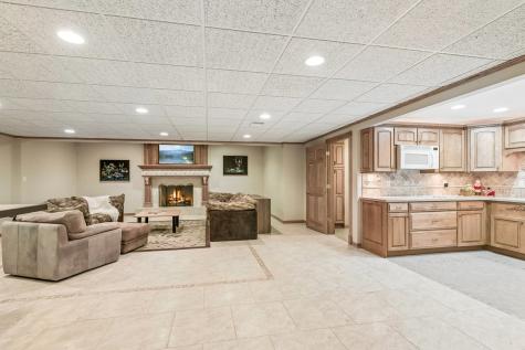 25246 North Abbey Glenn Drive Hawthorn Woods IL 60047