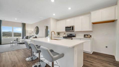 1115 Bluebell Lane Bartlett IL 60103