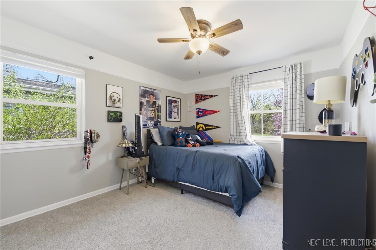 1209 Laurel Lane Naperville IL 60540