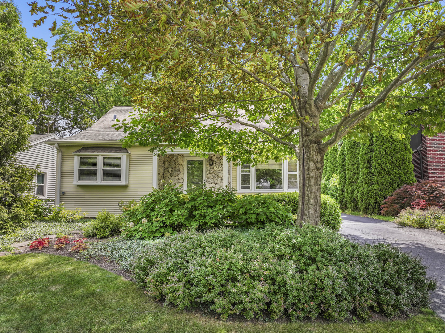 1339 North Dunton Avenue Arlington Heights IL 60004