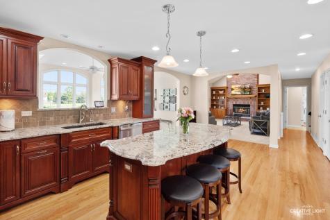 13350 South Jones Court Plainfield IL 60585