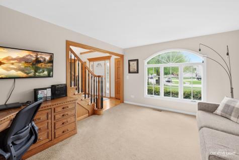 13350 South Jones Court Plainfield IL 60585