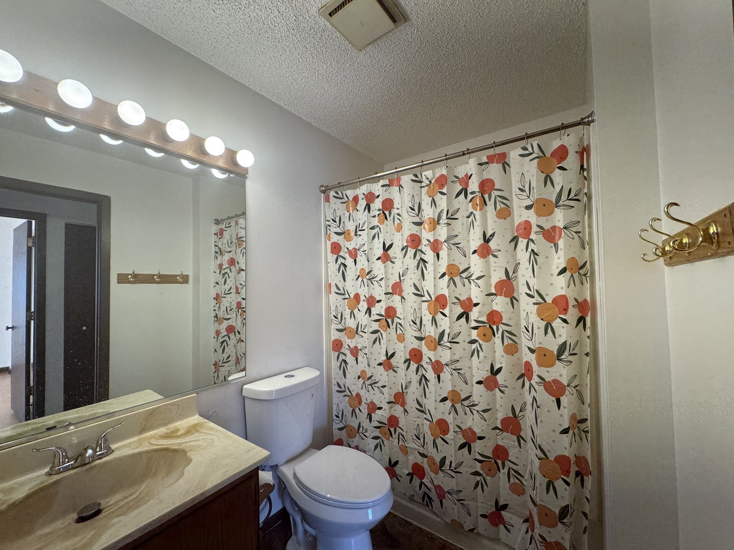 3094 Timber Hill Lane Aurora IL 60504