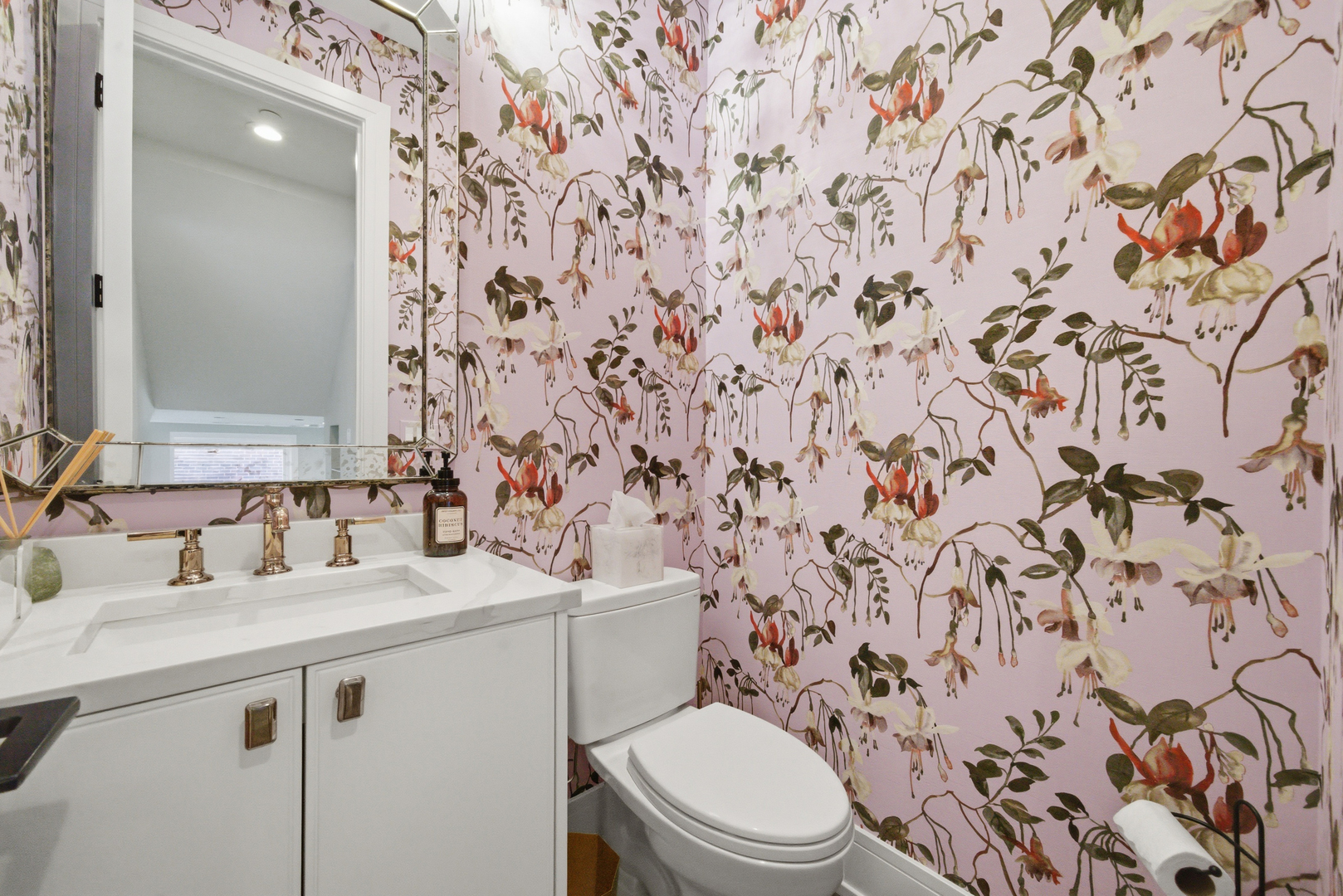 4029 Suffield Court Skokie IL 60076