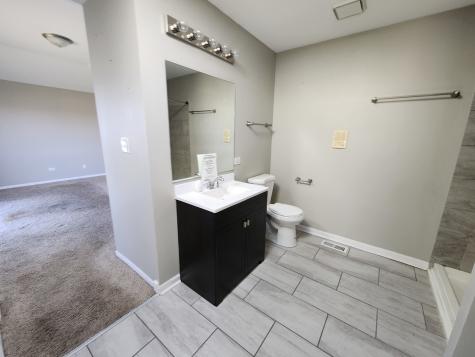 5244 Bentgrass Avenue Richton Park IL 60471