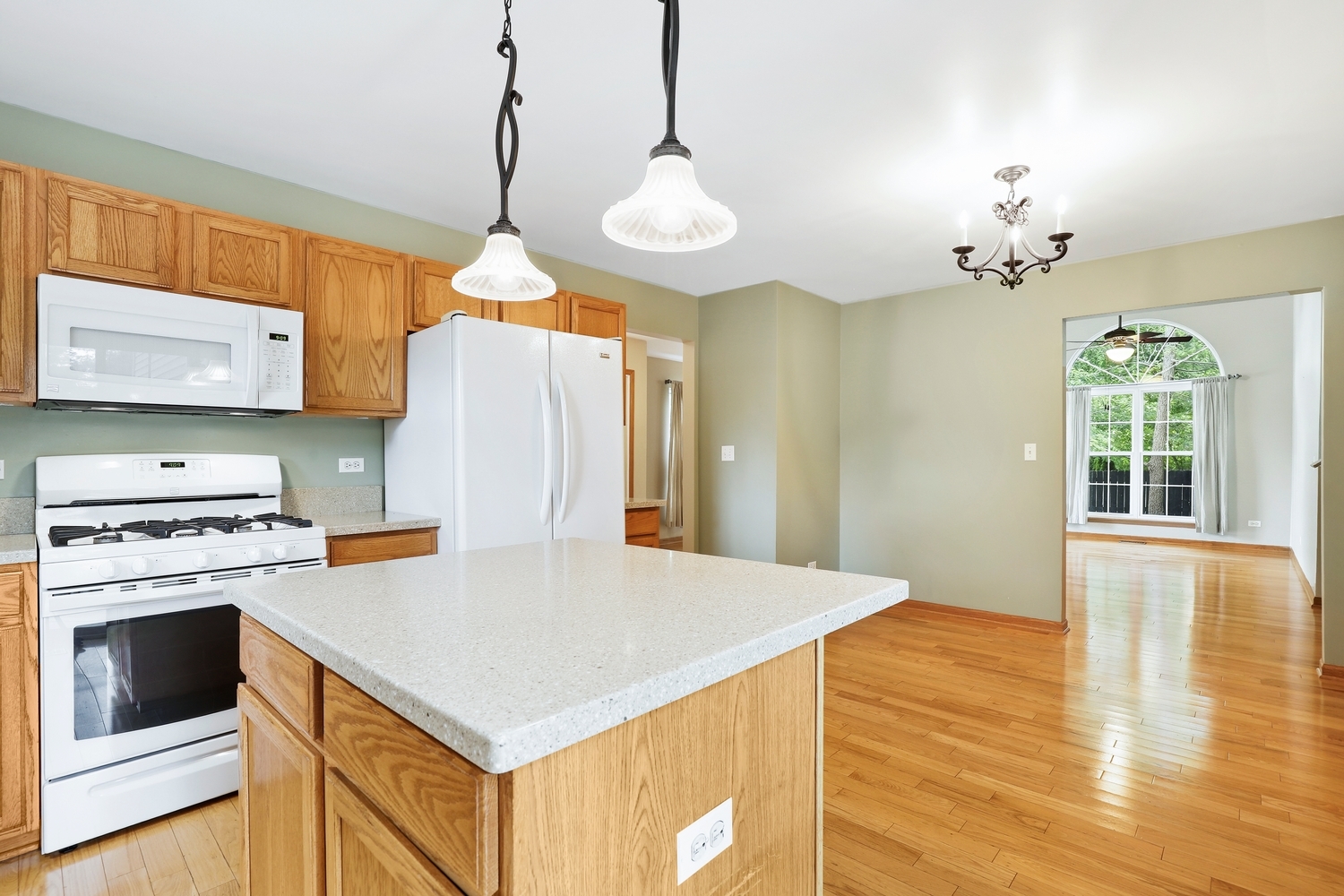 7200 Courtwright Court Plainfield IL 60586